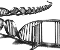 DNA-Jail logo