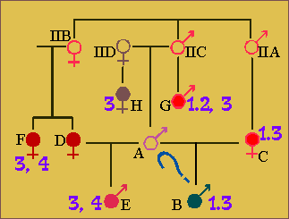 family tree and DQa types