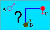 Man A. -?- child B -+- woman Mrs. C